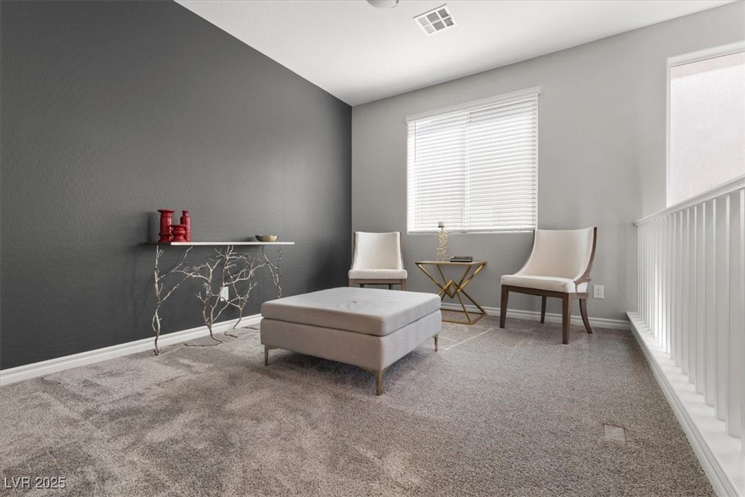 10776 Maltese Falcon Avenue Property Photo 24