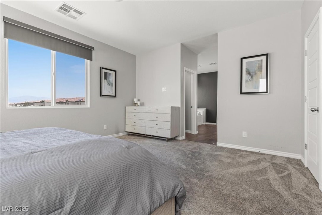 10776 Maltese Falcon Avenue Property Photo 27