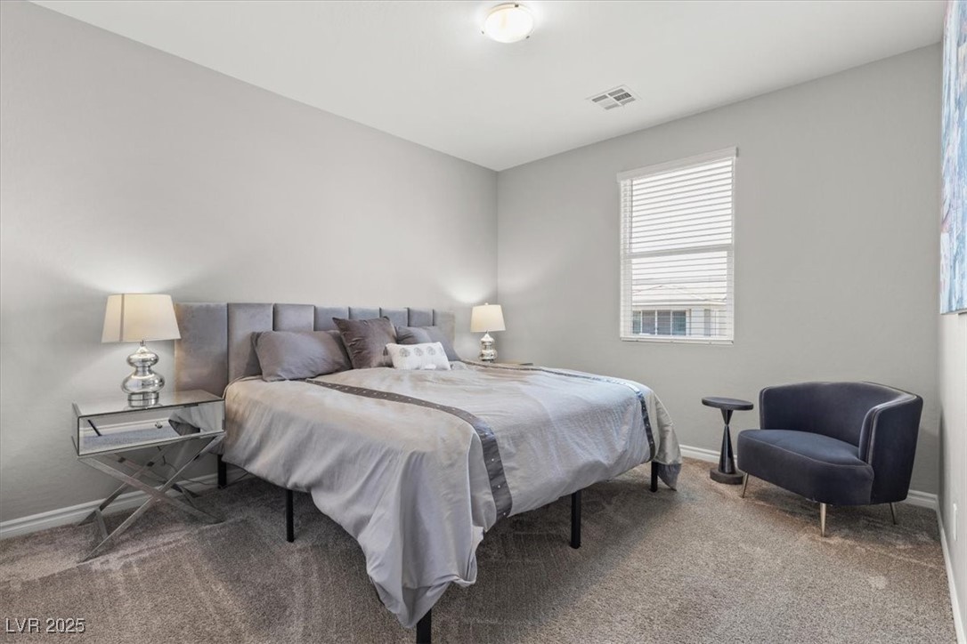 10776 Maltese Falcon Avenue Property Photo 30