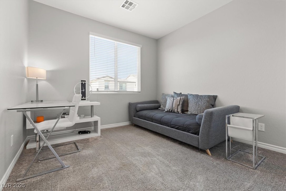 10776 Maltese Falcon Avenue Property Photo 31