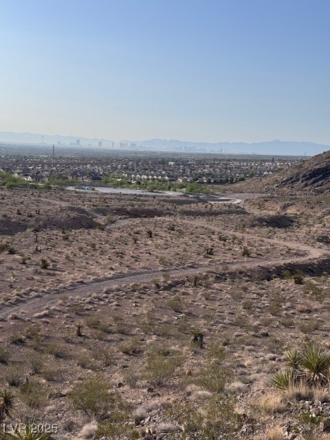 10776 Maltese Falcon Avenue Property Photo 39