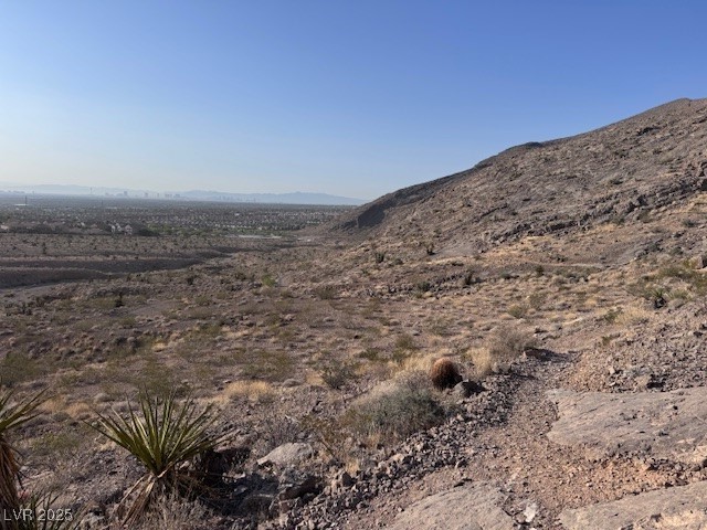 10776 Maltese Falcon Avenue Property Photo 40