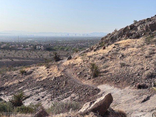 10776 Maltese Falcon Avenue Property Photo 41