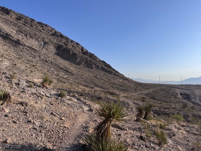 10776 Maltese Falcon Avenue Property Photo 42