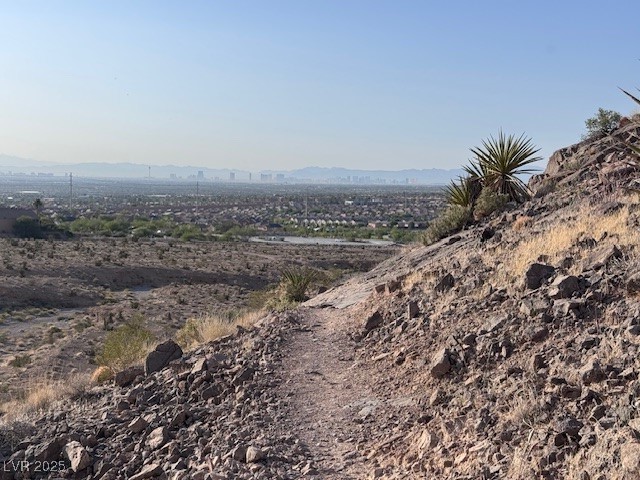 10776 Maltese Falcon Avenue Property Photo 43