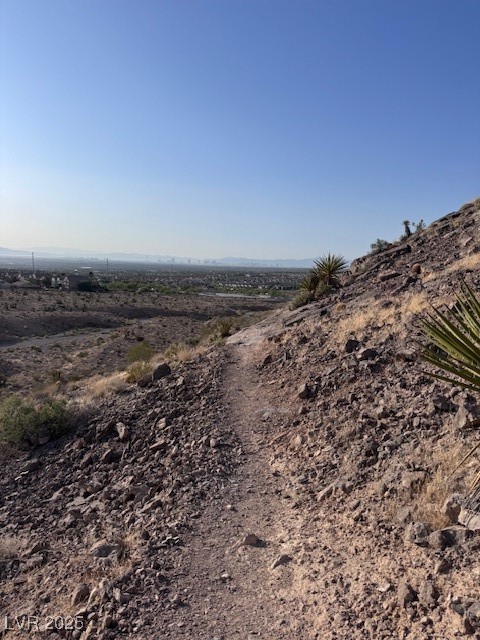 10776 Maltese Falcon Avenue Property Photo 45