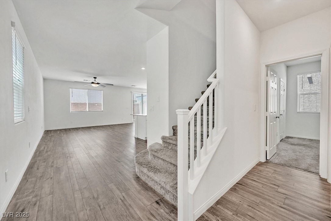 8011 Cavazzo Avenue Property Photo 6
