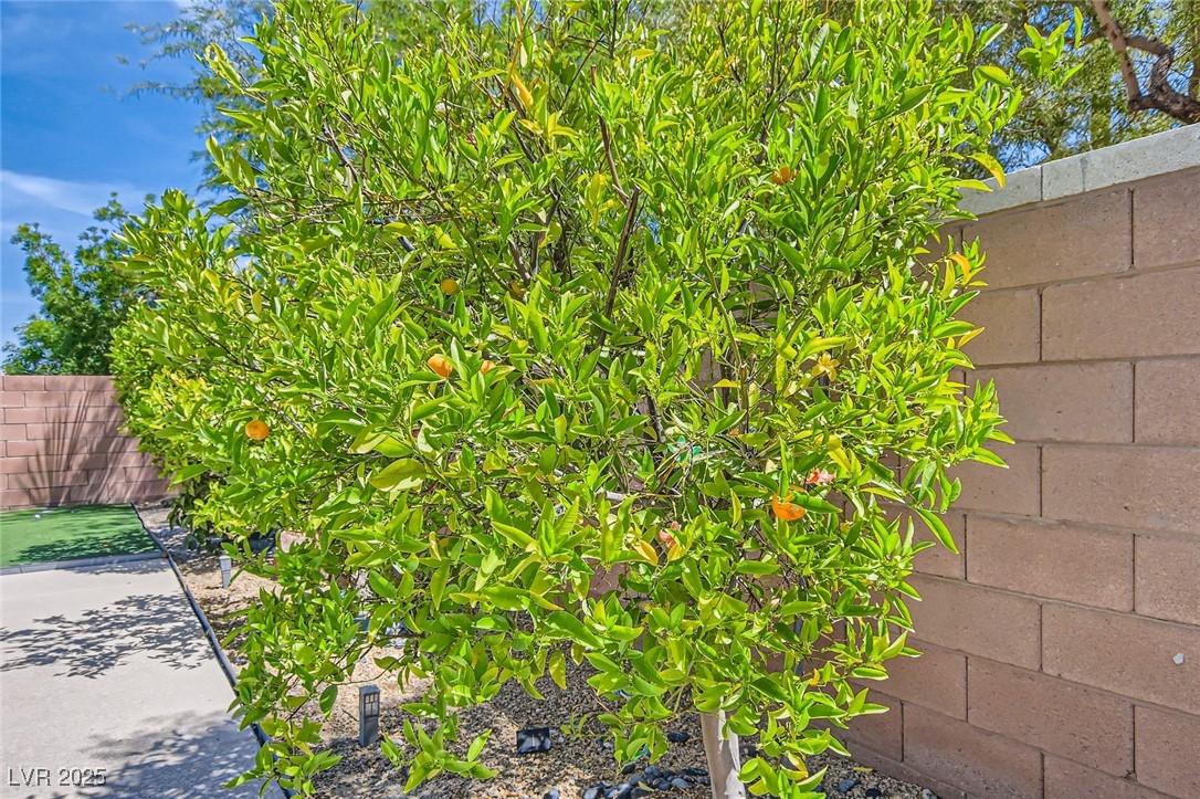 3605 Sapphire Sea Court Property Photo 27