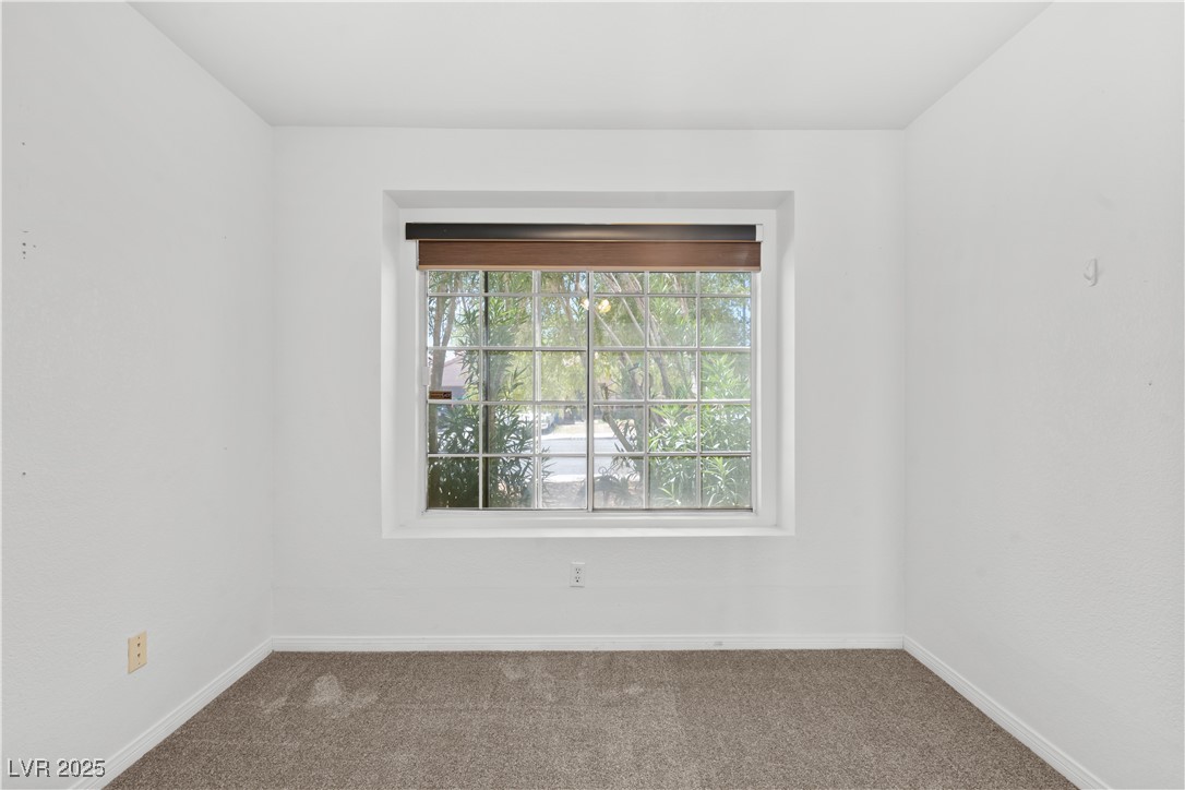 920 Serpentina Avenue Property Photo 49