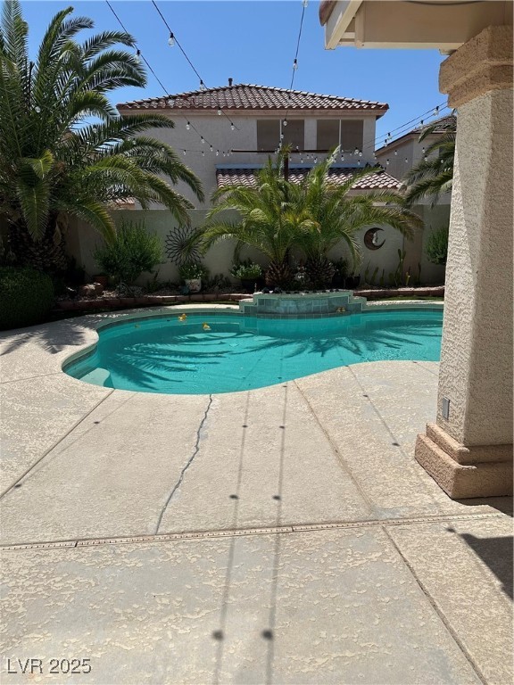 10265 Moth Orchid Court Property Photo 12