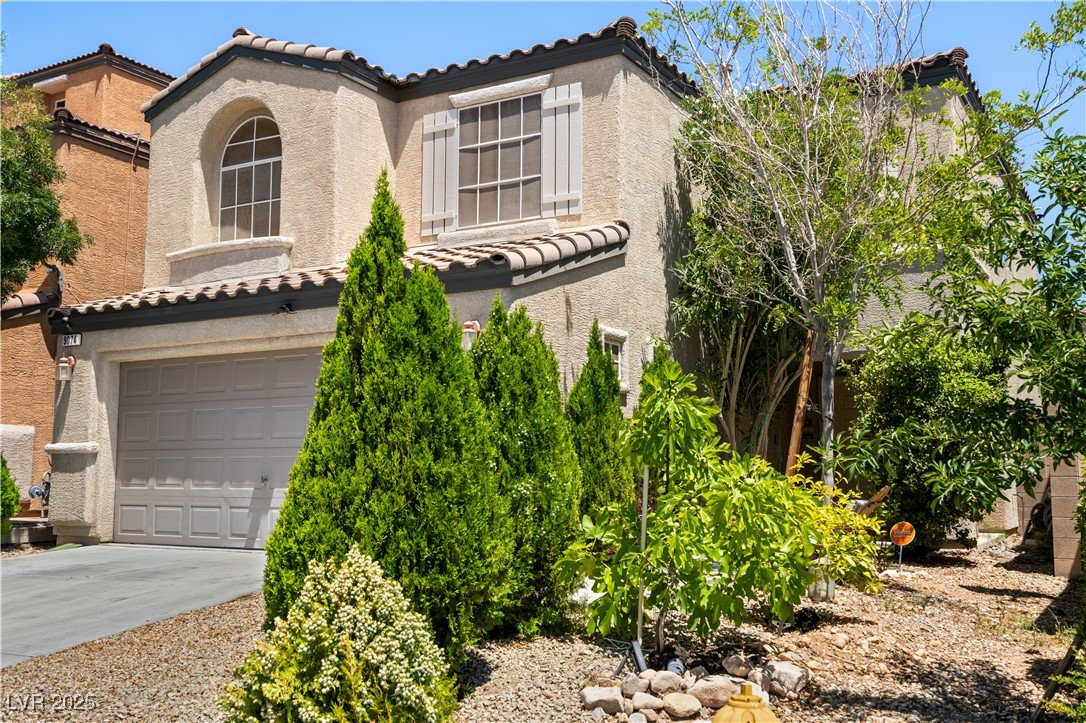 9074 Iron Cactus Avenue Property Photo 8