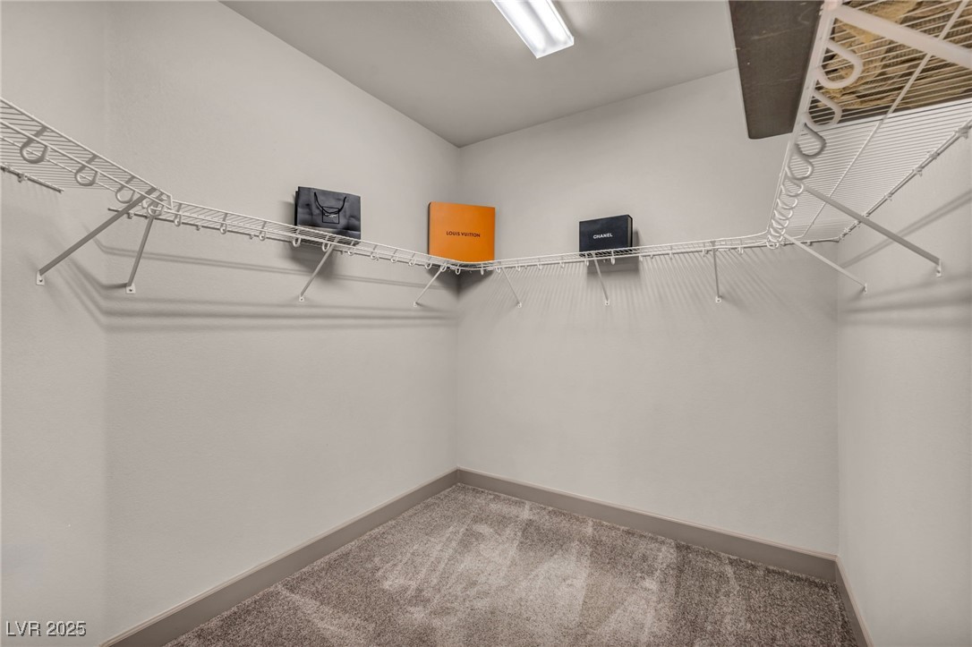8528 Baltimore Heights Court Property Photo 47
