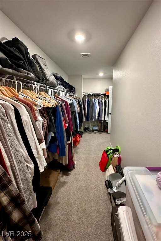 8186 Guadiano Avenue Property Photo 23