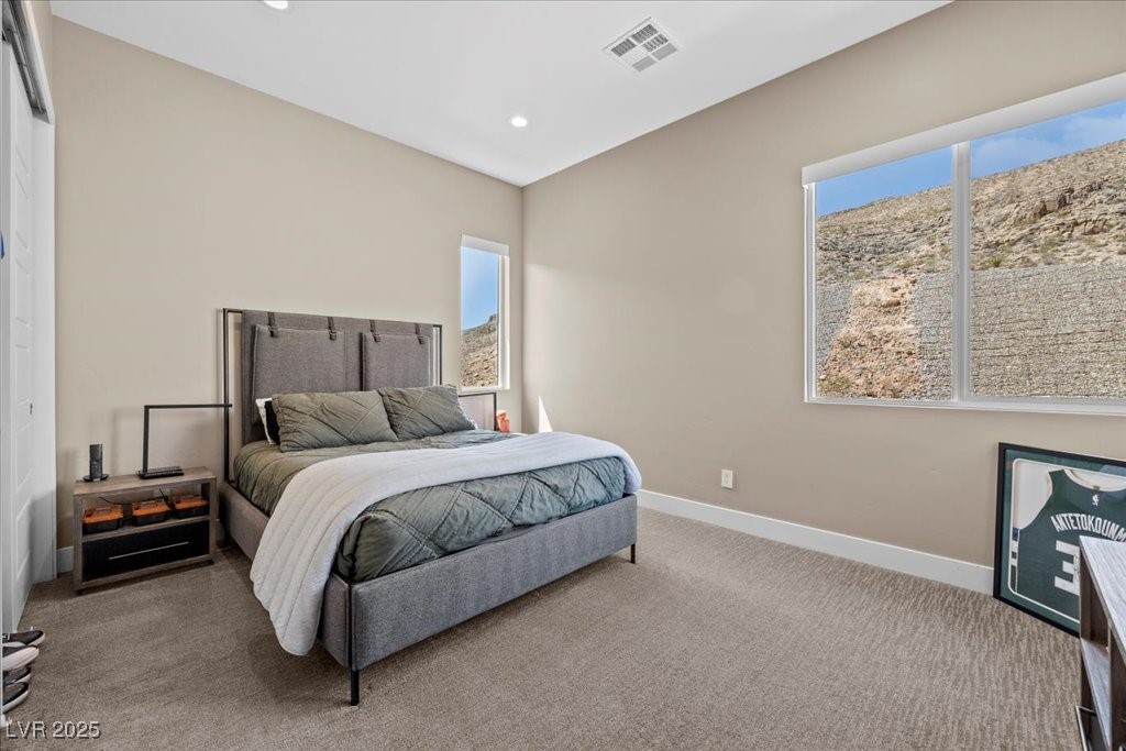 10950 Earth Hues Court Property Photo 50