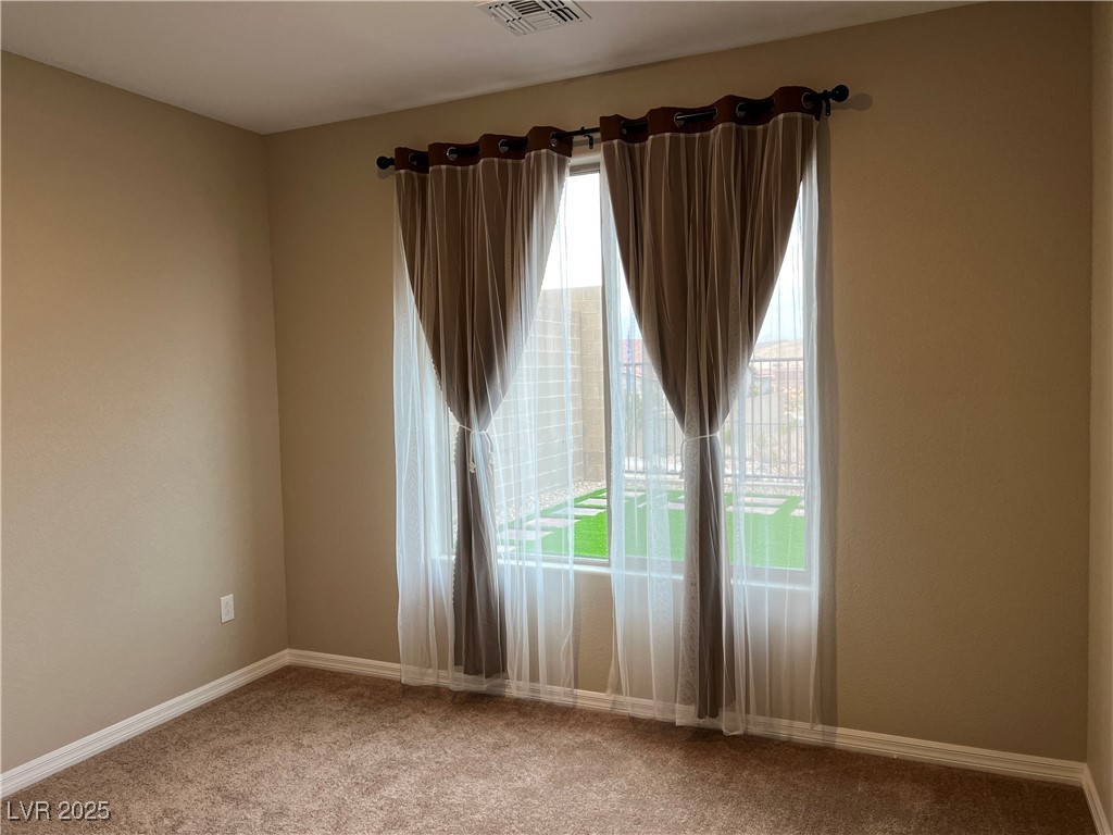 11658 Midnight Melody Avenue Property Photo 42