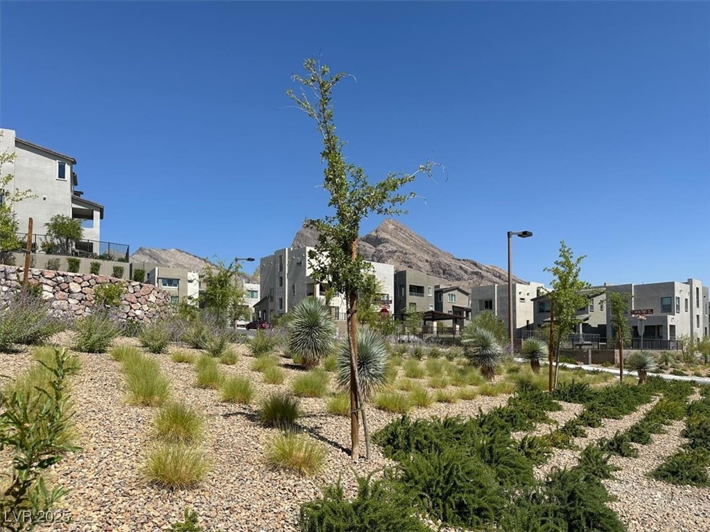 11658 Midnight Melody Avenue Property Photo 70