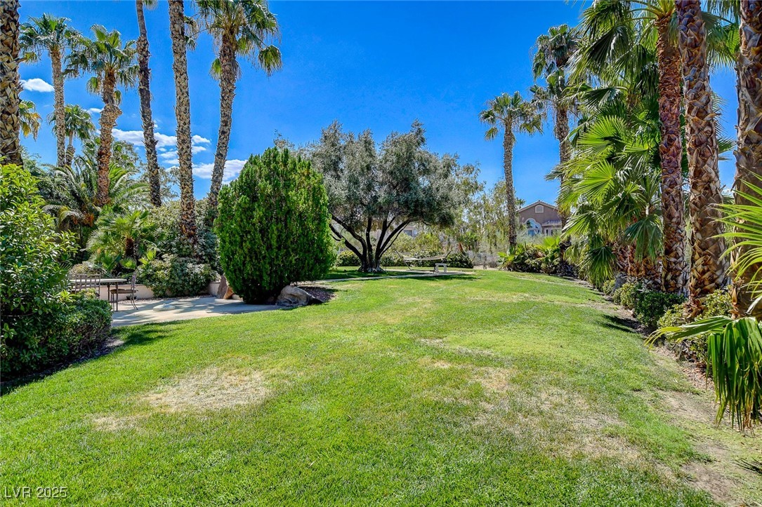 2041 Troon Drive Property Photo 83