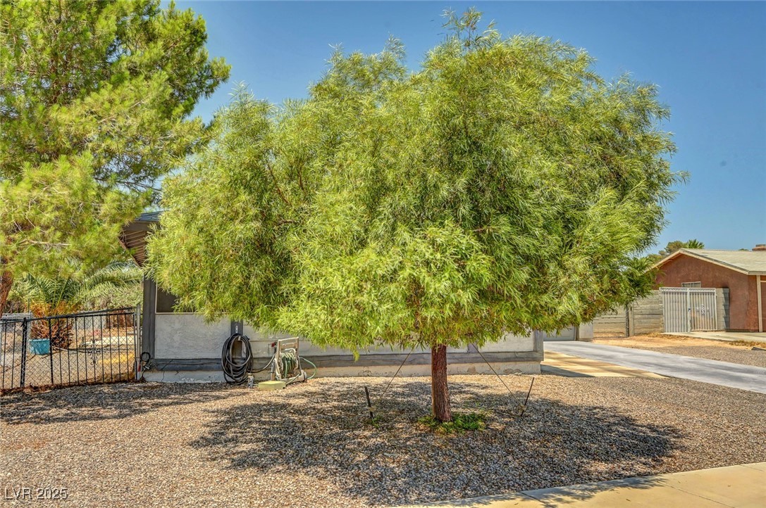 671 Riata Way Property Photo 38