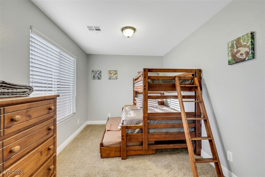9495 Vieno Canyon Street Property Photo 42