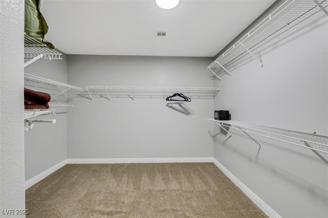 9495 Vieno Canyon Street Property Photo 47