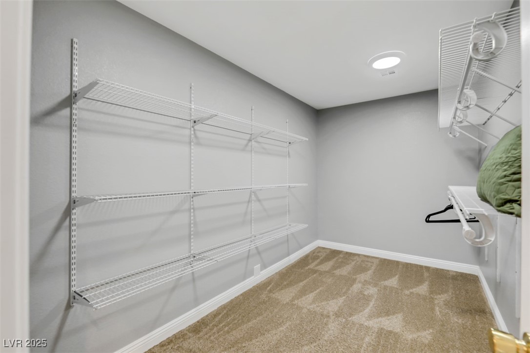 9495 Vieno Canyon Street Property Photo 48