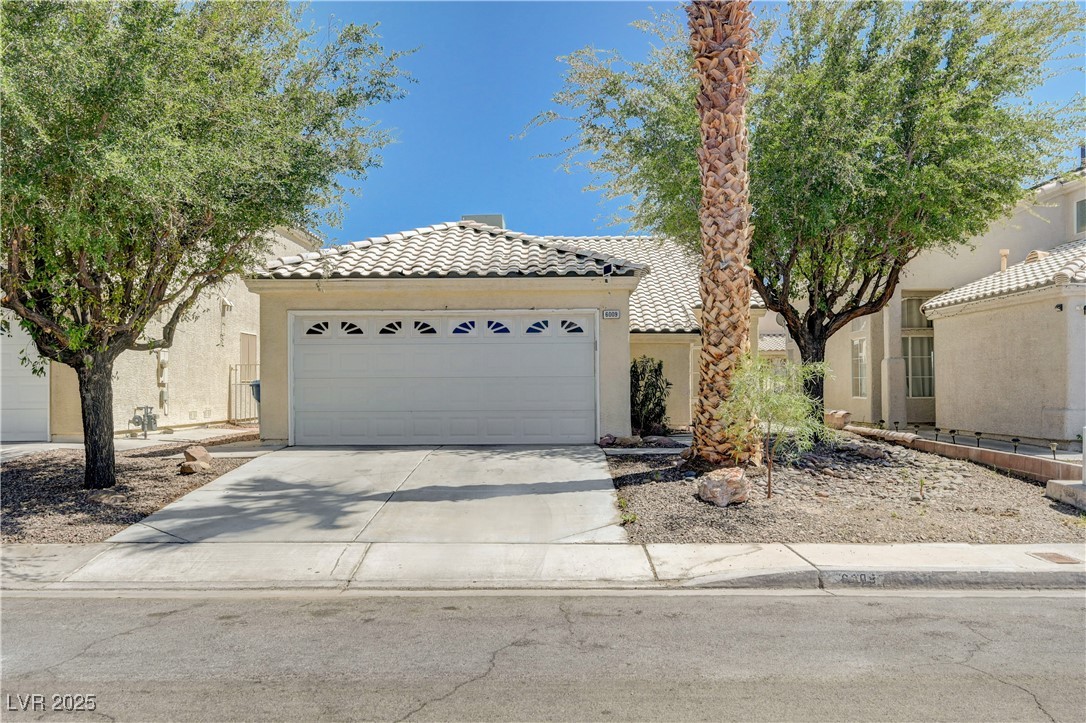 6009 Flowering Plum Avenue Property Photo 1