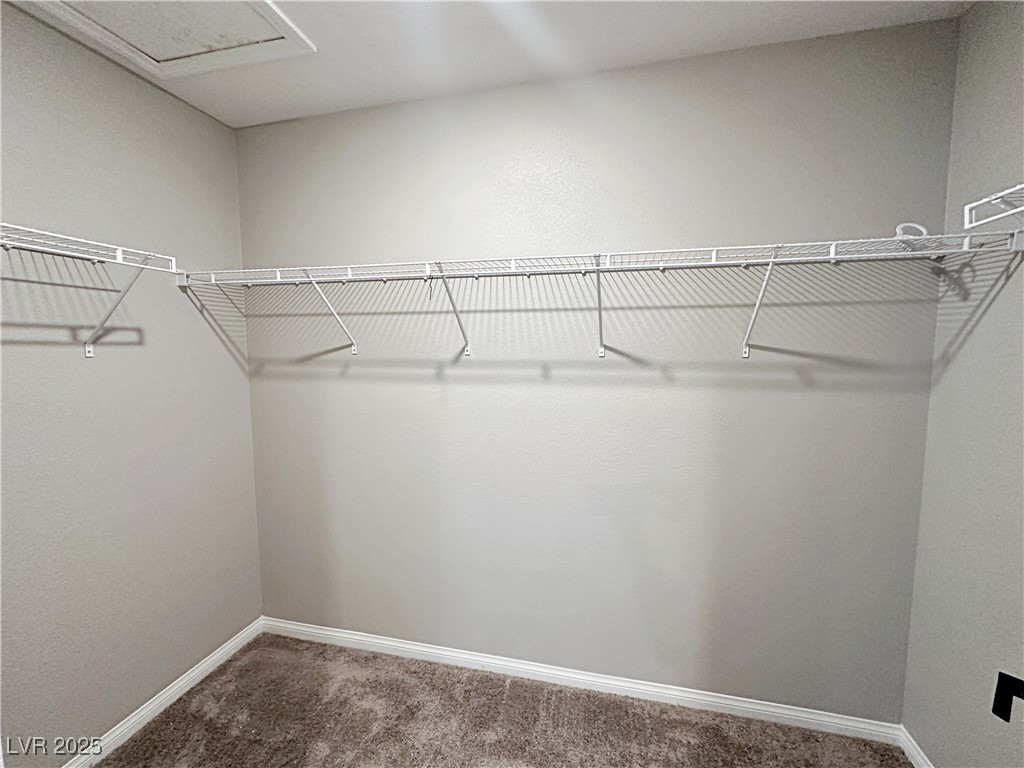 7003 Wildhorse Creek Street Property Photo 34