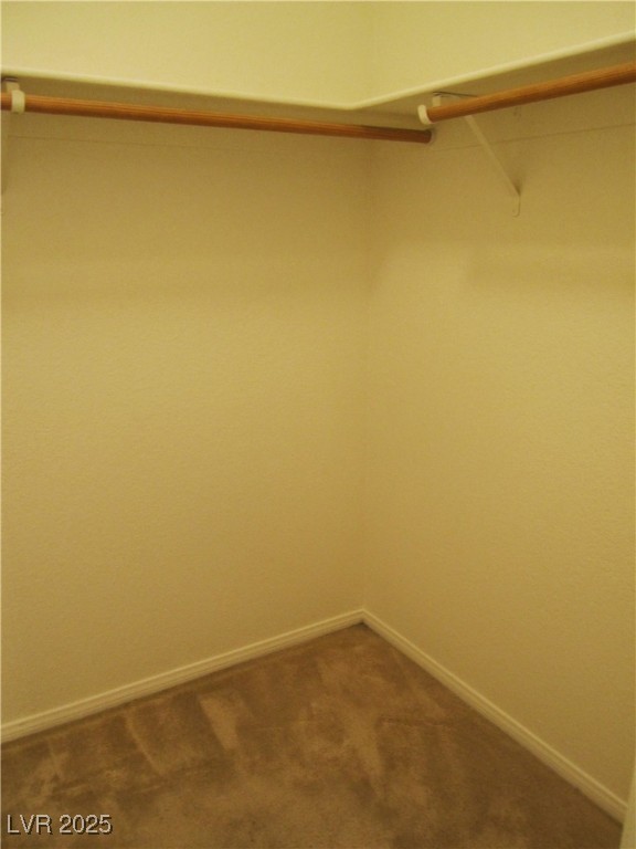 620 White Shark Court Property Photo 29