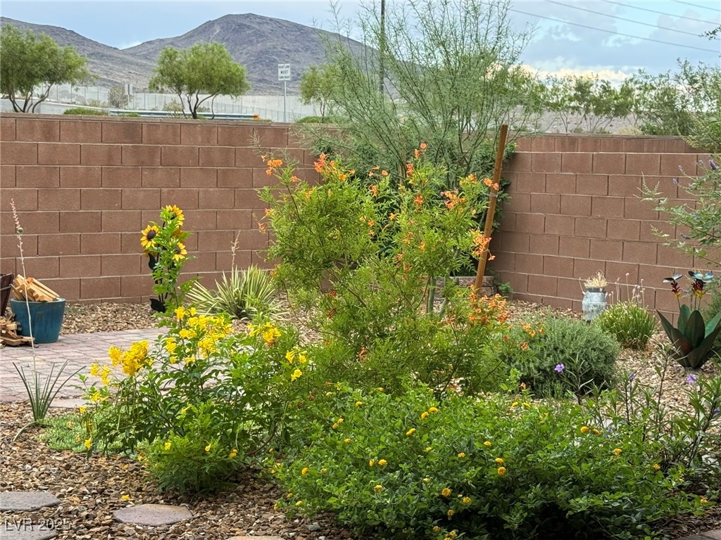 2936 Aragon Terrace Way Property Photo 21