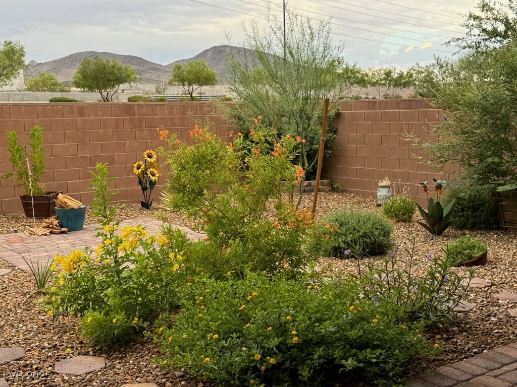2936 Aragon Terrace Way Property Photo 23
