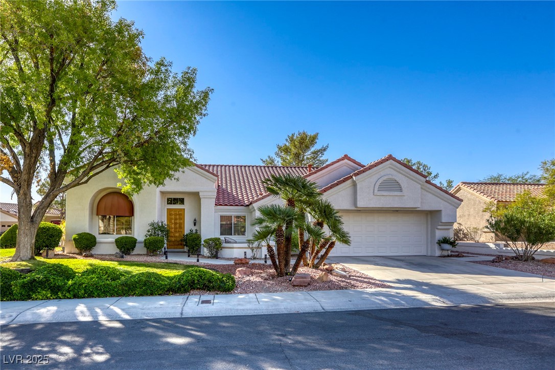 9201 Yucca Blossom Drive Property Photo