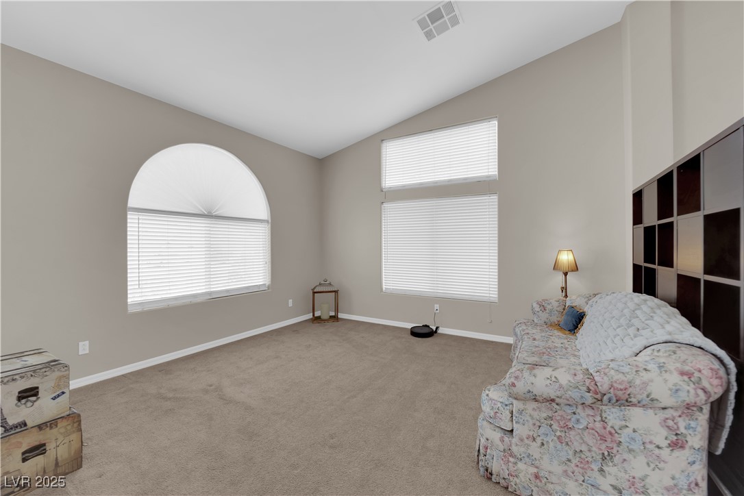 6781 Alpine Brooks Avenue Property Photo 7