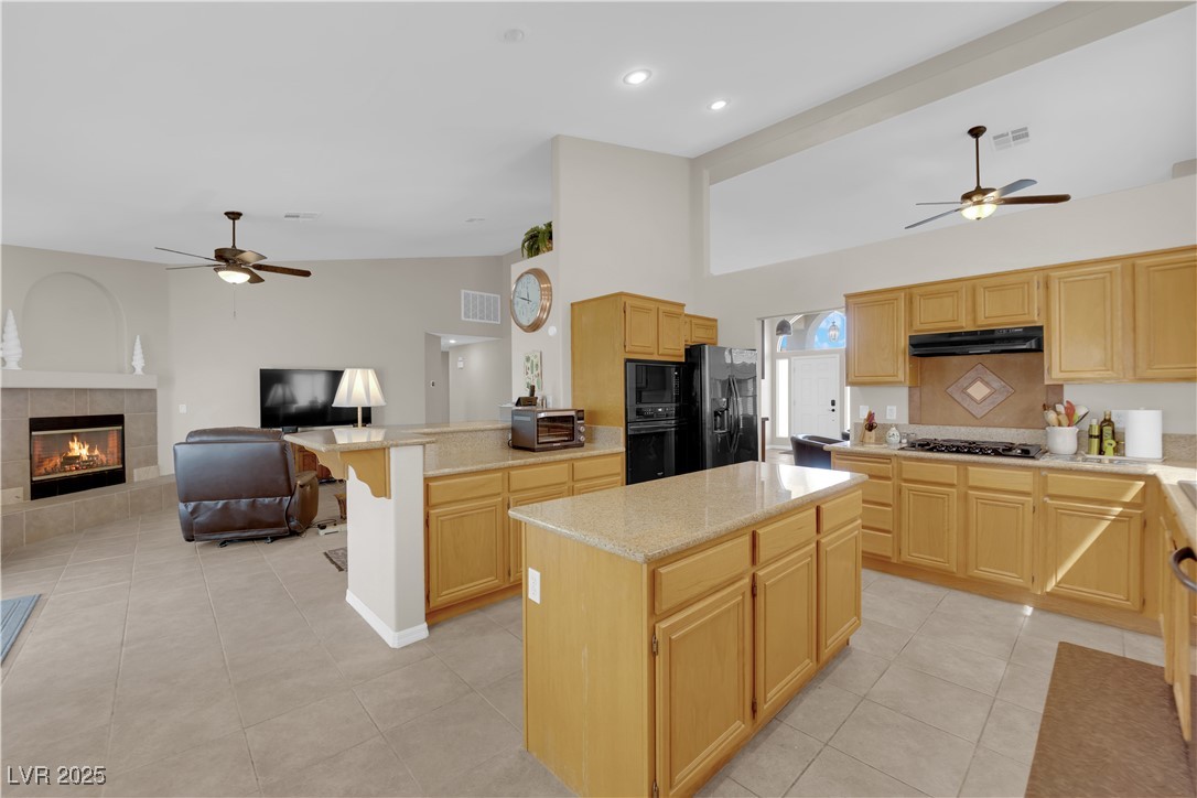 6781 Alpine Brooks Avenue Property Photo 18