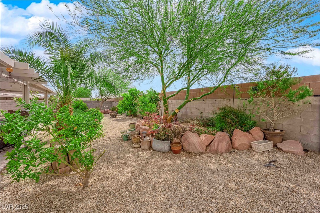 6781 Alpine Brooks Avenue Property Photo 44