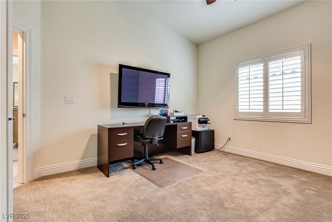 5681 Exotic Rosette Avenue Property Photo 40