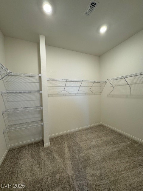 11865 Pied Harrier Avenue Property Photo 16