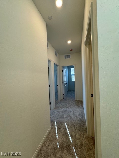 11865 Pied Harrier Avenue Property Photo 17