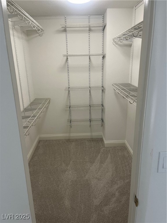 2009 Waverly Circle Property Photo 12