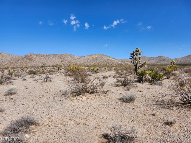 Cottonwood Cove Road Property Photo 6