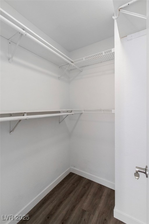 2313 Tinsley Court Property Photo 31