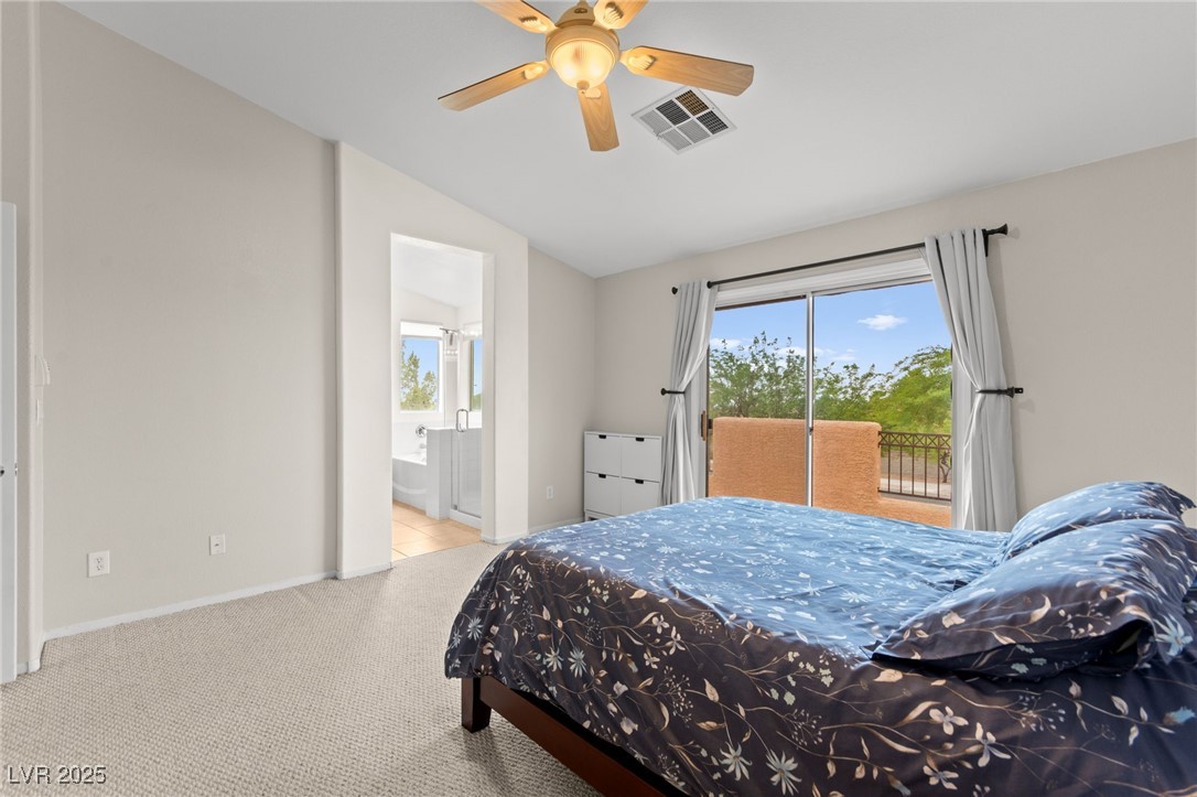 1316 Pintail Point Street Property Photo 37