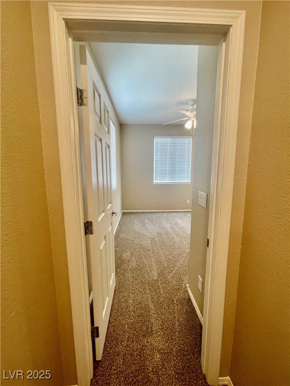 10445 Orchard Lodge Street Property Photo 6