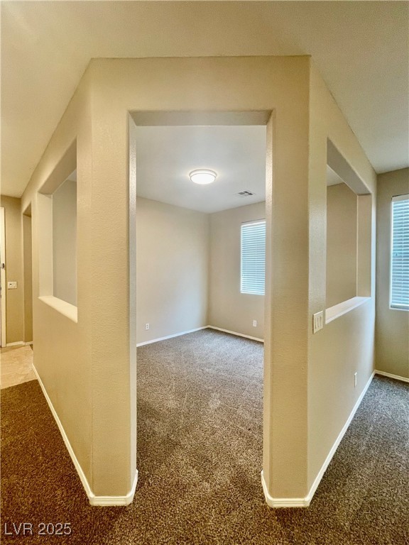 10445 Orchard Lodge Street Property Photo 15