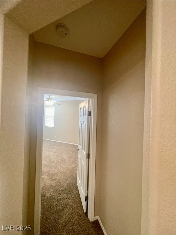 10445 Orchard Lodge Street Property Photo 26