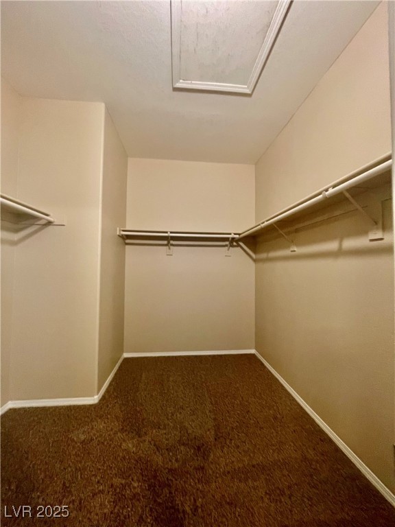 10445 Orchard Lodge Street Property Photo 28