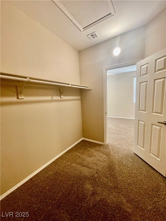 10445 Orchard Lodge Street Property Photo 29