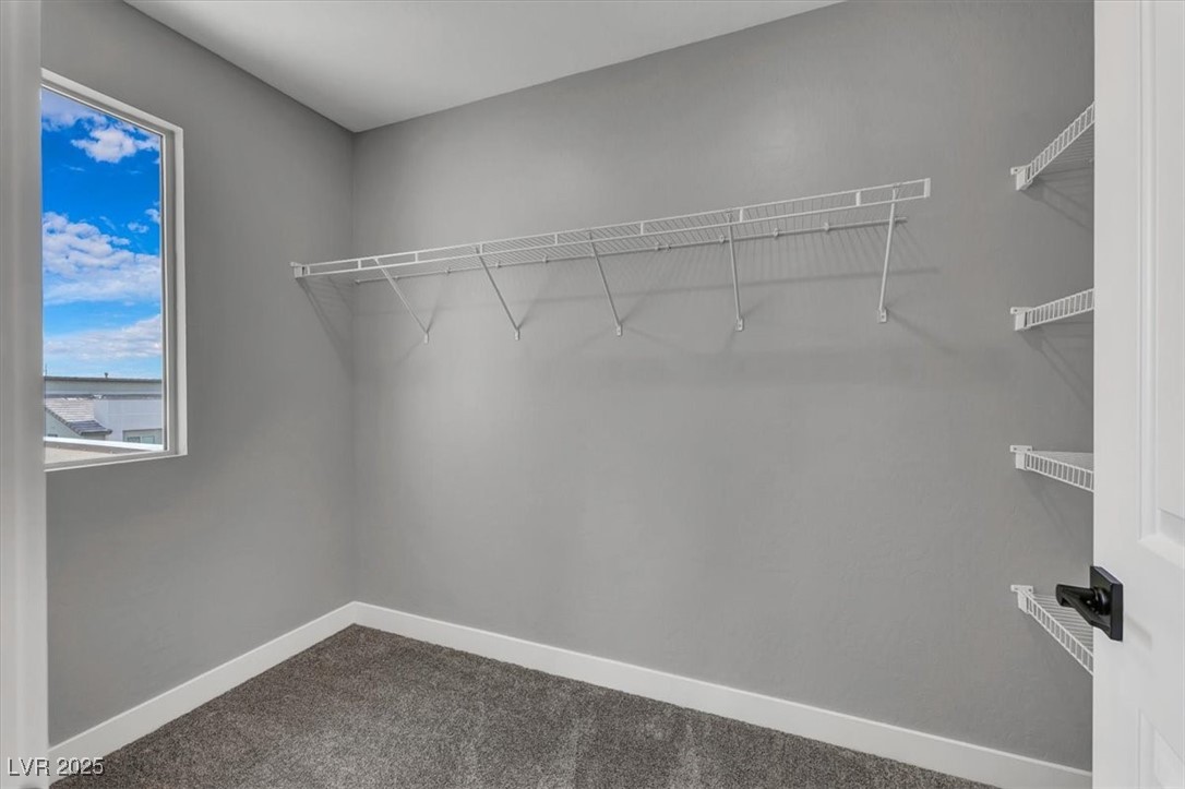 514 Fairview Hills Street Property Photo 17