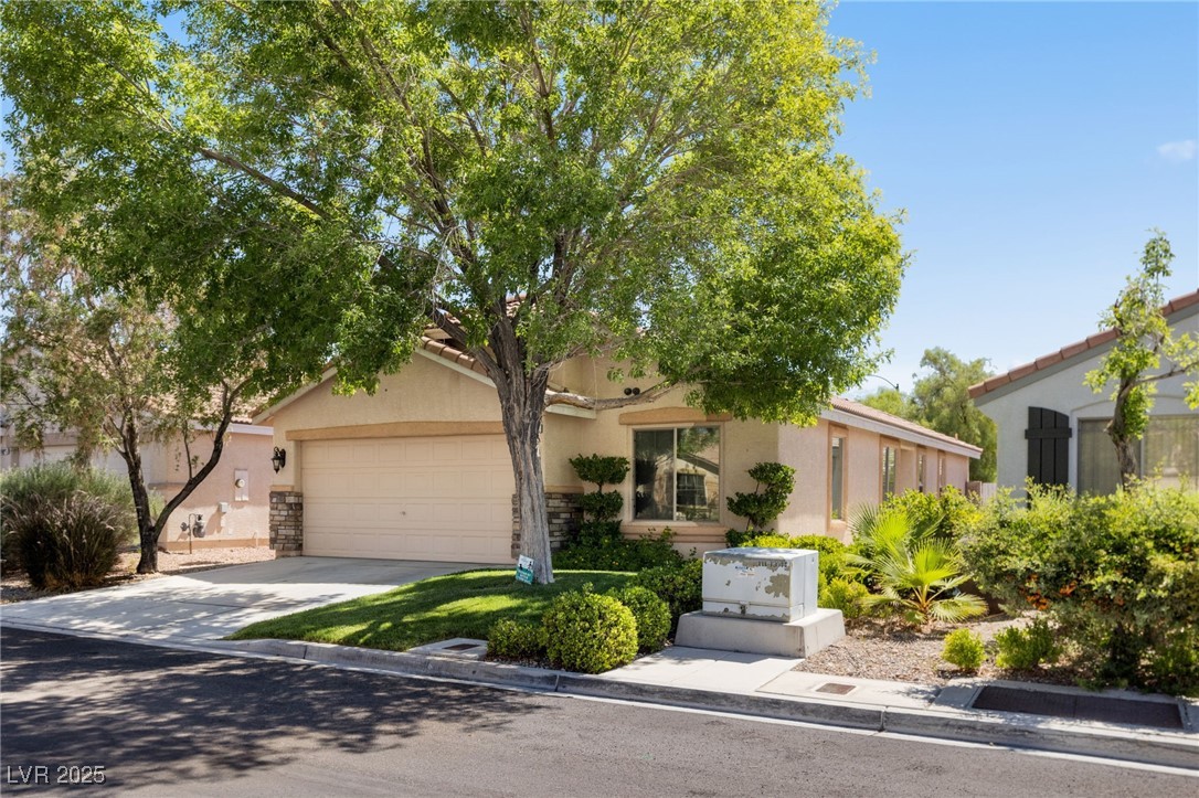 11012 Vallerosa Street Property Photo 25