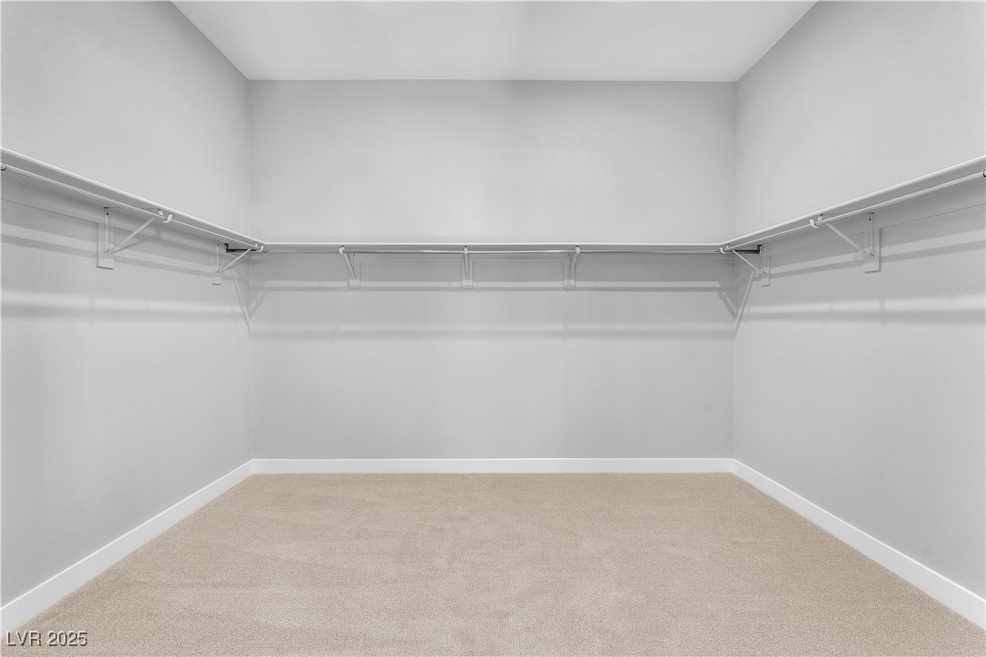 11707 Hatchling Avenue Property Photo 49