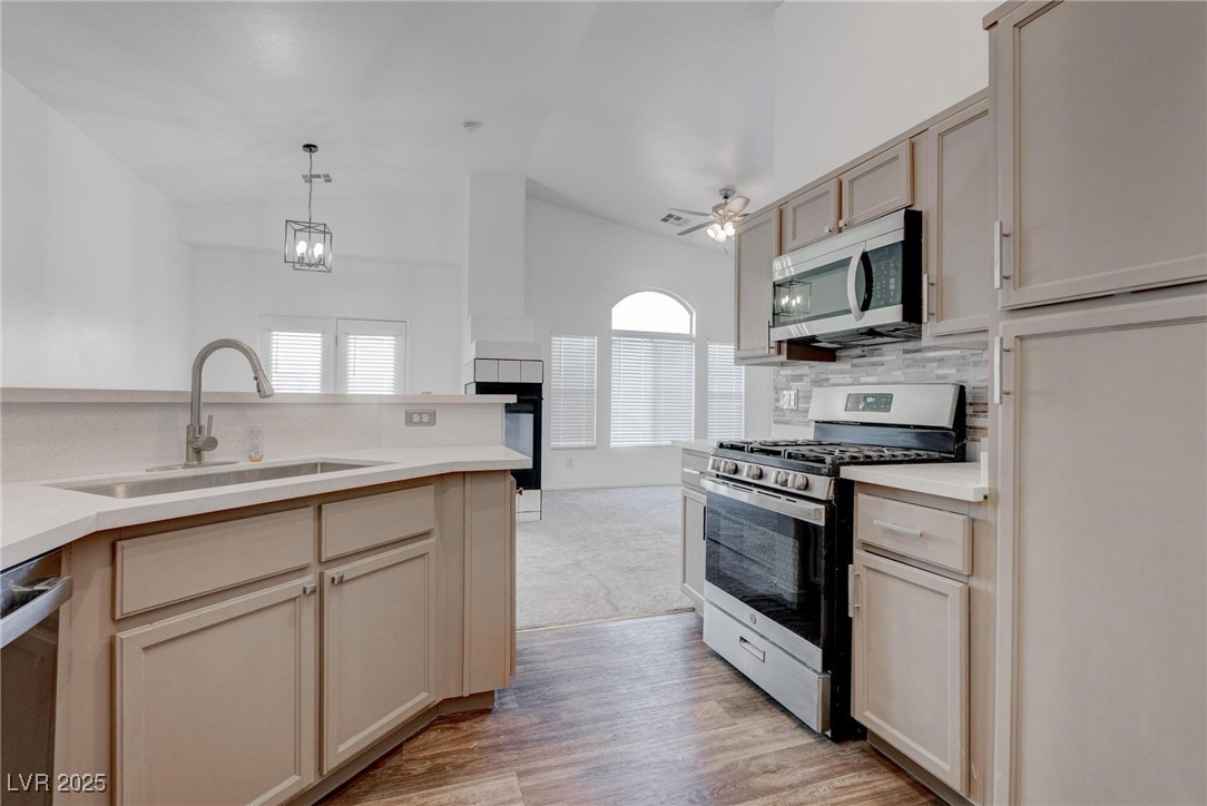6550 Tumbleweed Ridge Lane 101 Property Photo 10